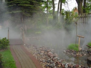 Использование систем туманообразования