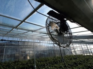 Системы туманообразования