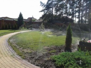 Микрополив для сада