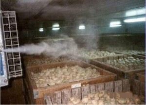 Система туманообразования для продуктового склада