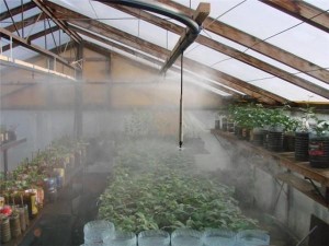 Использование систем туманообразования для подкормки растений